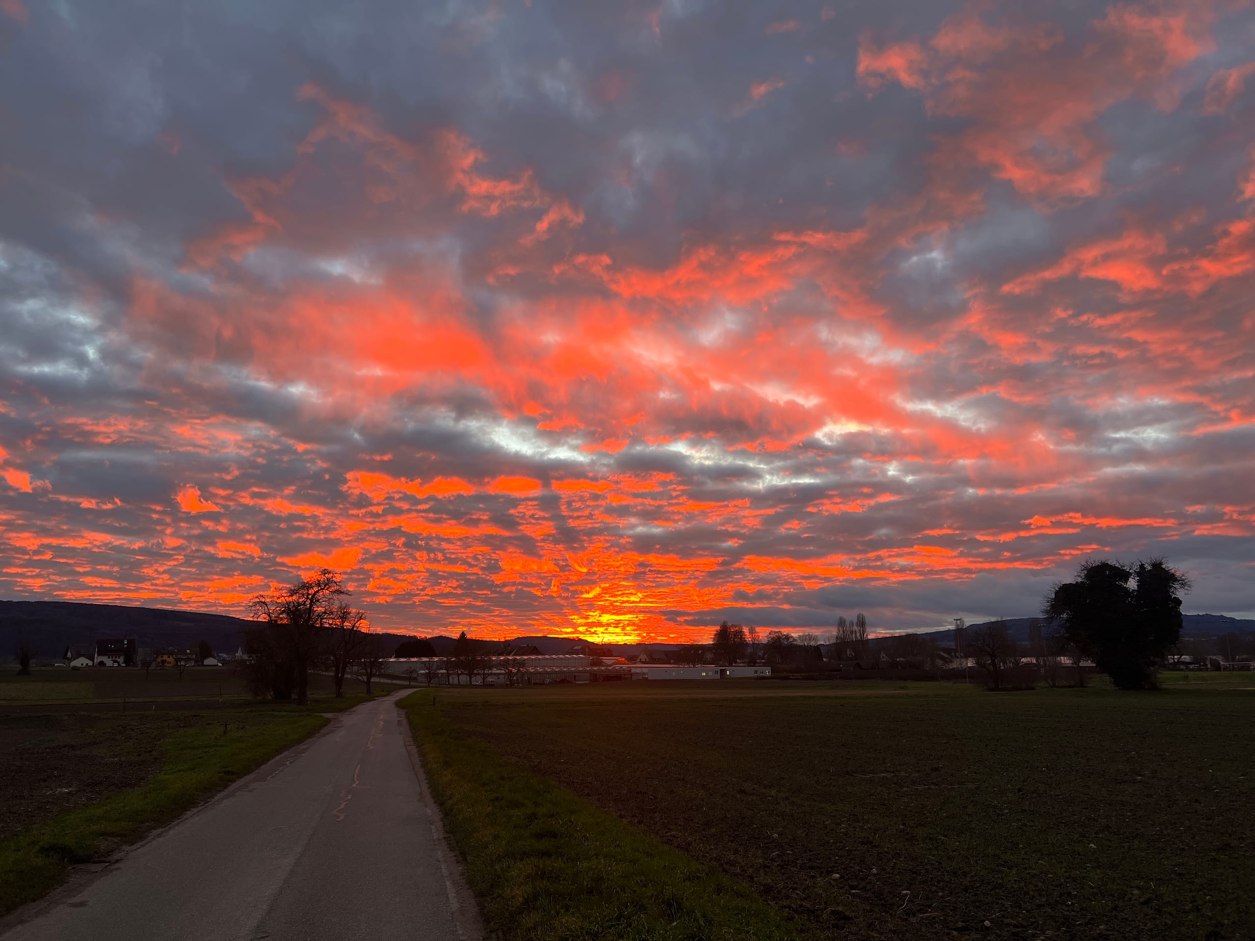 Durch unsere Linse.